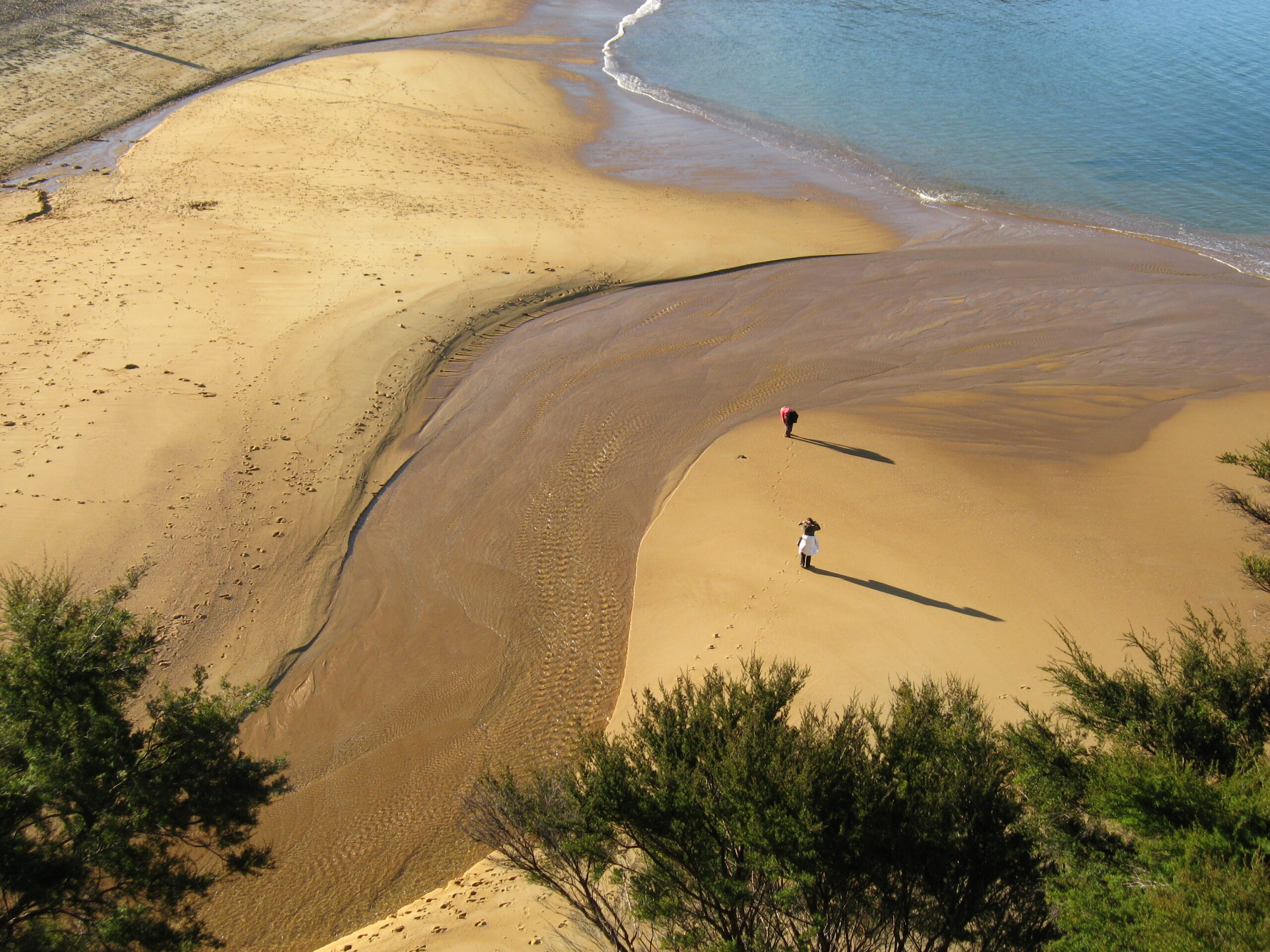 Kaiteriteri beach
