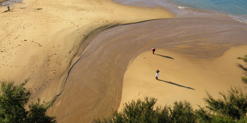 Kaiteriteri beach